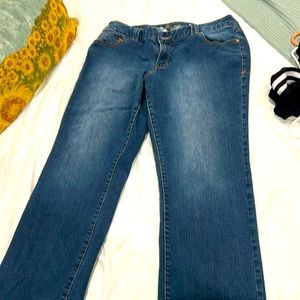 Lane Bryant Straight Jeans